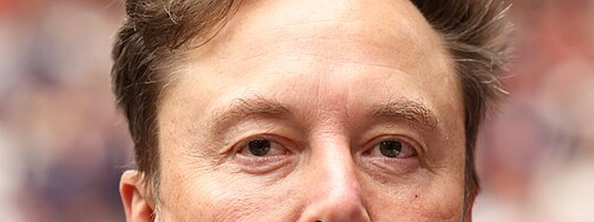 Elon Musk portrait