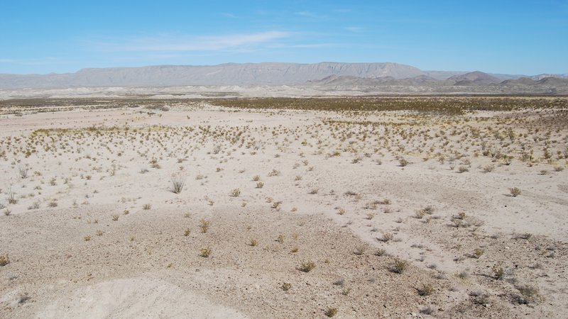West Texas desert landscape in the Big Bend region