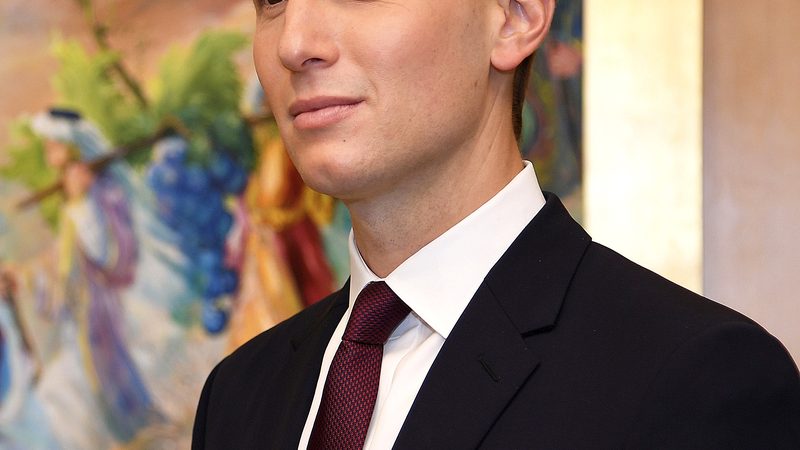Organizational chart from a New York State filing linking Joshua Kushner's Thrive entities to Oscar Insurance Corporation
