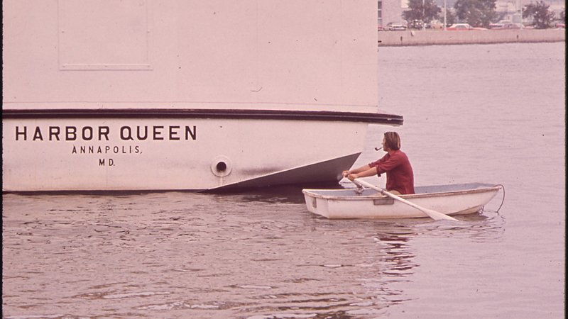 An oarsman on Annapolis Harbor — Dunleavy is based in the Maryland region where he built his companies