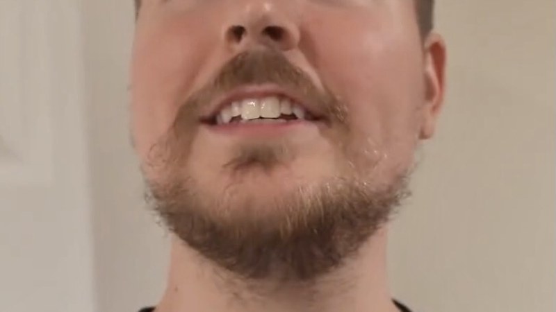 MrBeast in 2021 — his income comes from ads, sponsors and businesses, not a salary